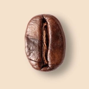 Moka Sidamo Bio