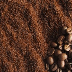 Guatemala Platanillo