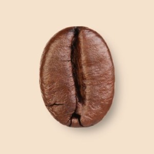 Sumatra Mandheling