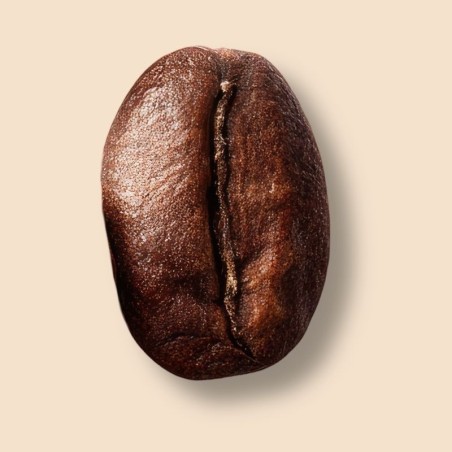 Inde Malabar Moussoné