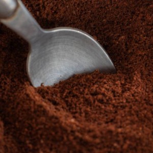 Inde Malabar Moussoné