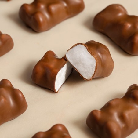 Ourson guimauve et chocolat