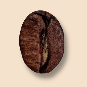 Moka Yrgacheffe