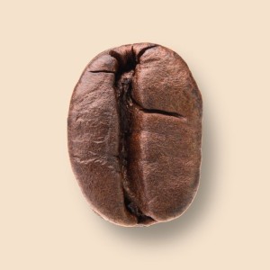 Machine expresso Cafféo Solo de Melitta