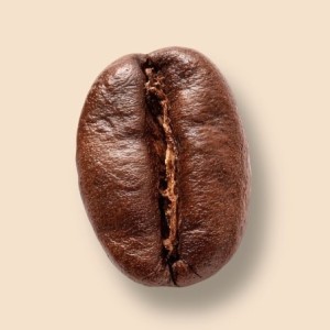 Café Caramel