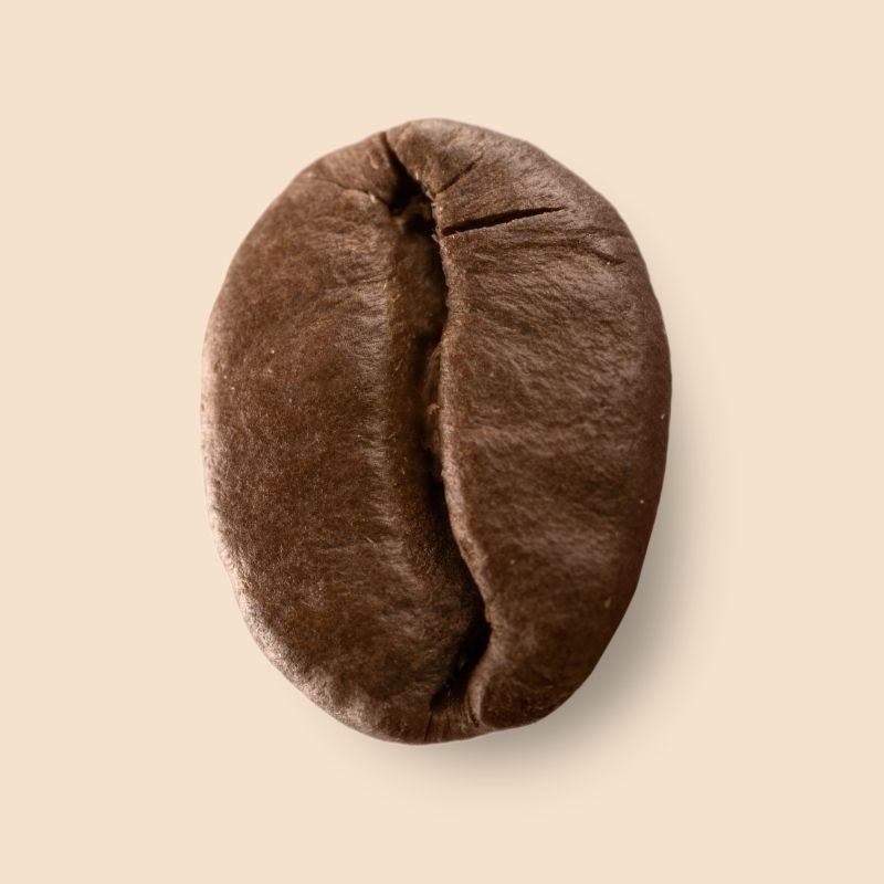 Guatemala Platanillo