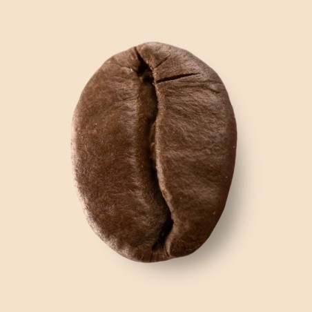 Guatemala Platanillo