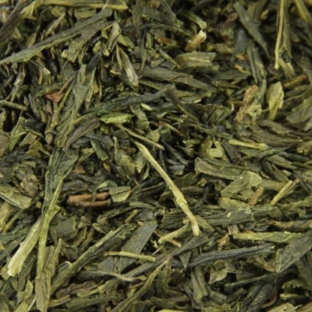 Sencha