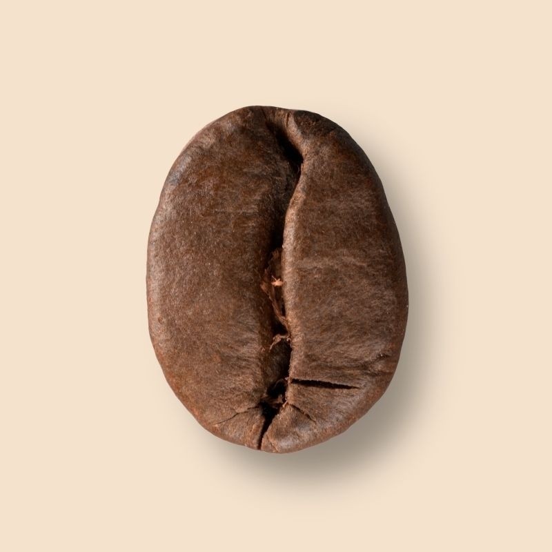 Brésil Fazenda da Lagoa