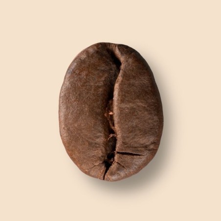 Brésil Fazenda da Lagoa