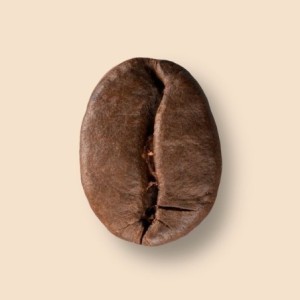 Brésil Fazenda da Lagoa