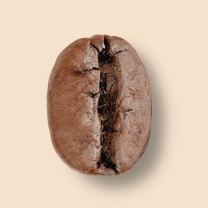 Mexique Altura Zapata