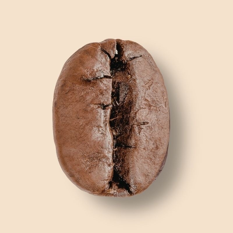 Mexique Altura Zapata