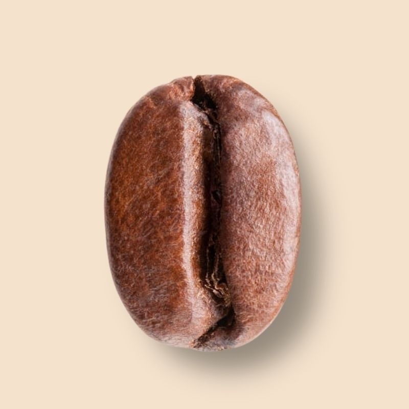 Costa Rica Tarrazu Monte Plata