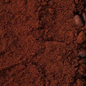 Costa Rica Tarrazu Monte Plata