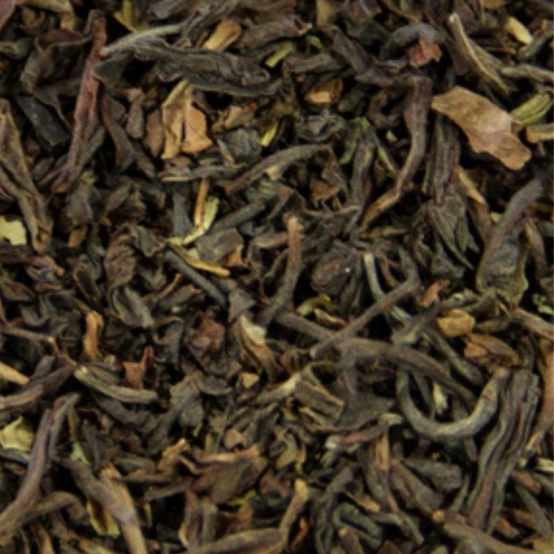 Darjeeling FOP Anapurna