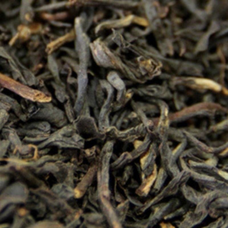 Assam GFOP Supérieur