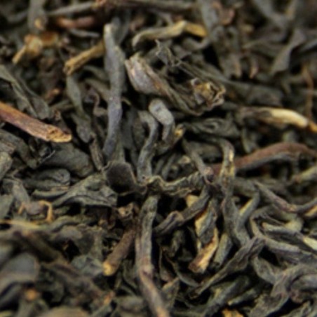 Assam GFOP Supérieur