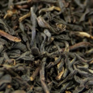 Assam GFOP Supérieur